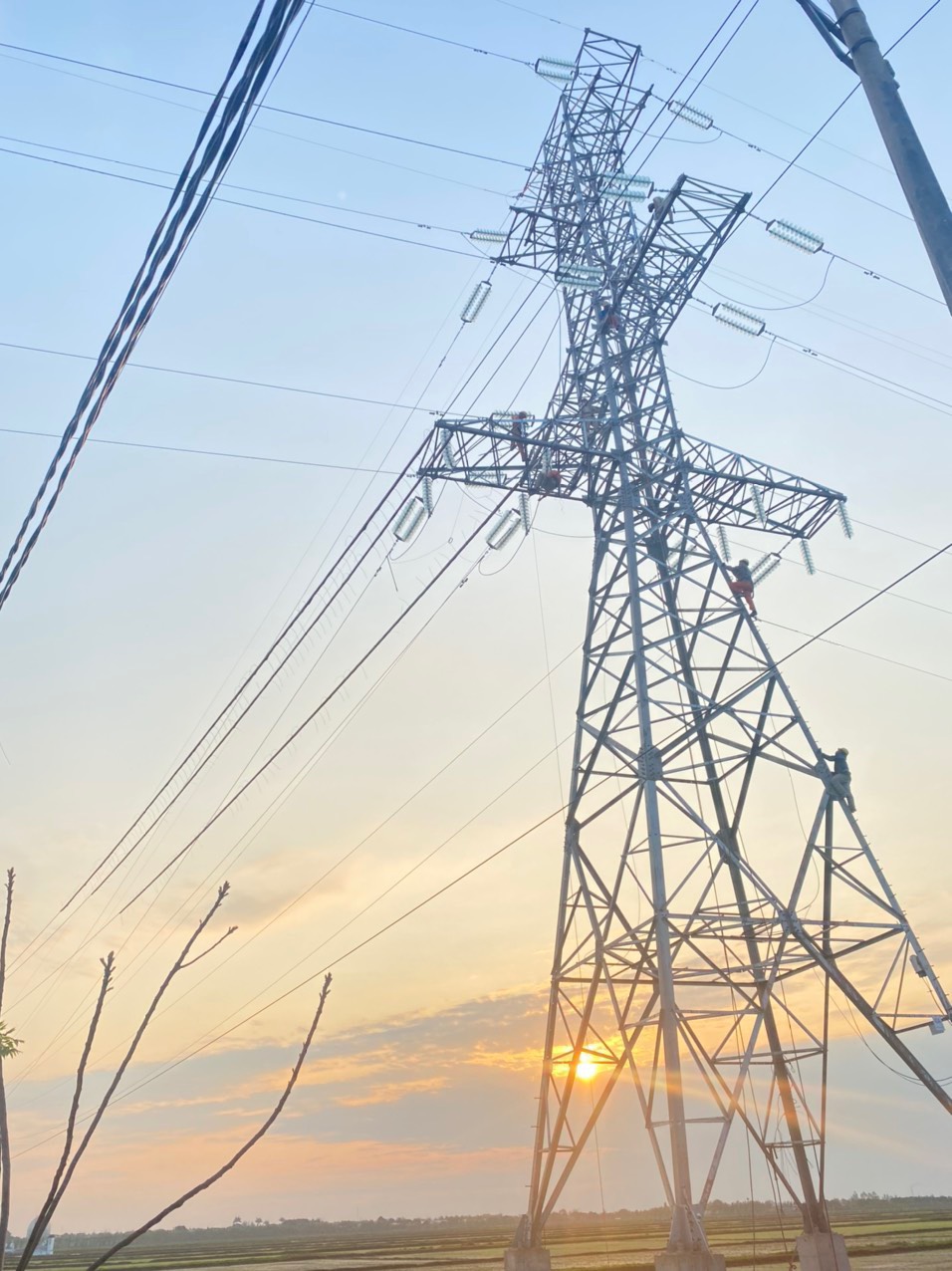 Thi công xây dựng, xây lắp trạm biến áp và đường dây đến cấp điện áp 220kV